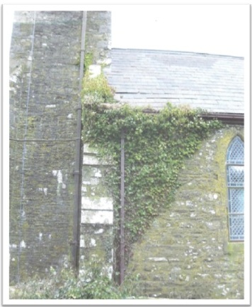 Nave_roof